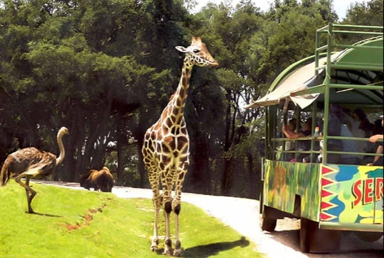 edomex-bioparque-estrella