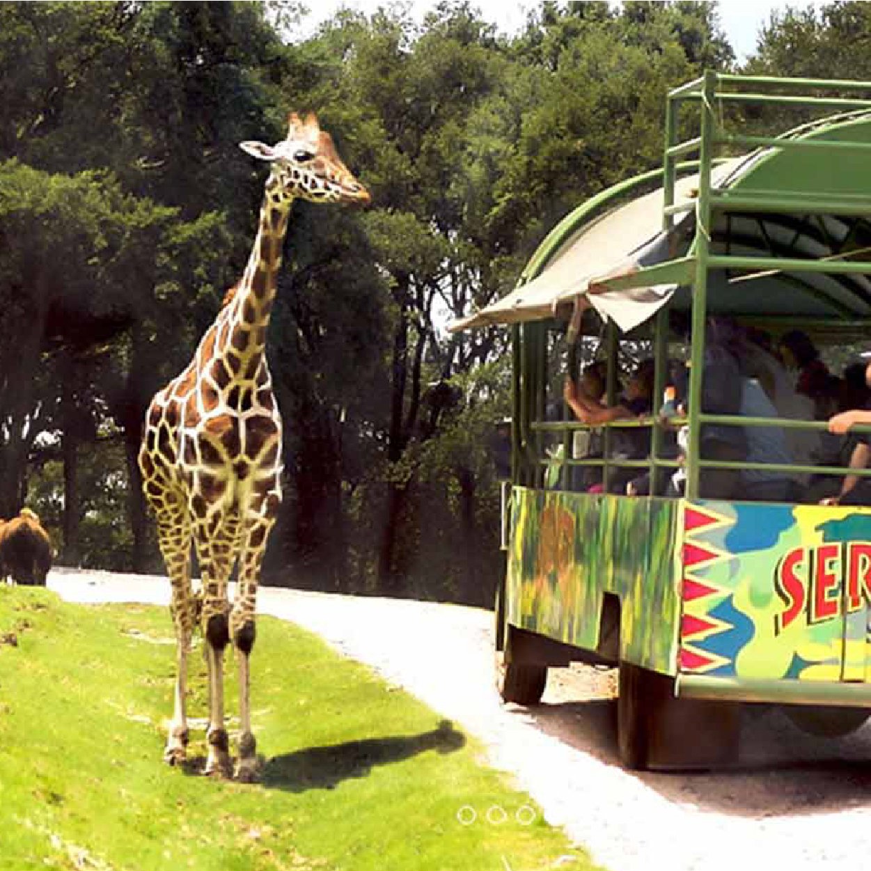 senda turismo-tours